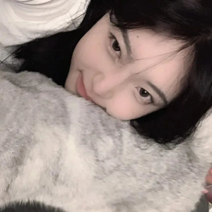 野猫嬉春海报